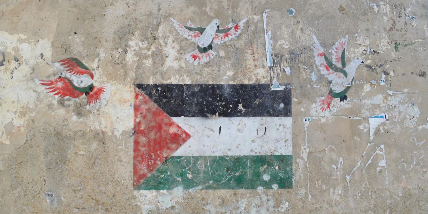 Palestine flag with doves flying from it