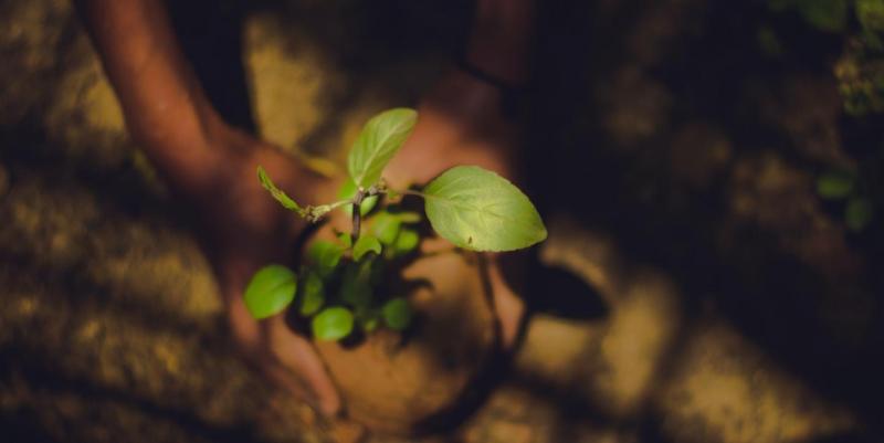 صورة تعبيرية