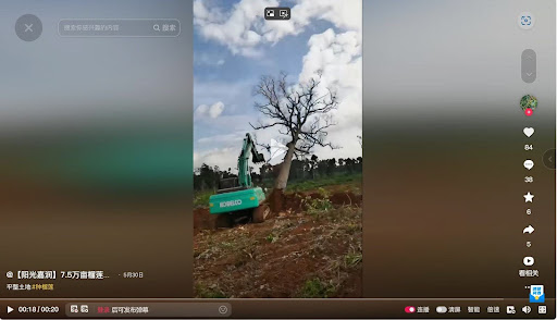 Screengrab of video.